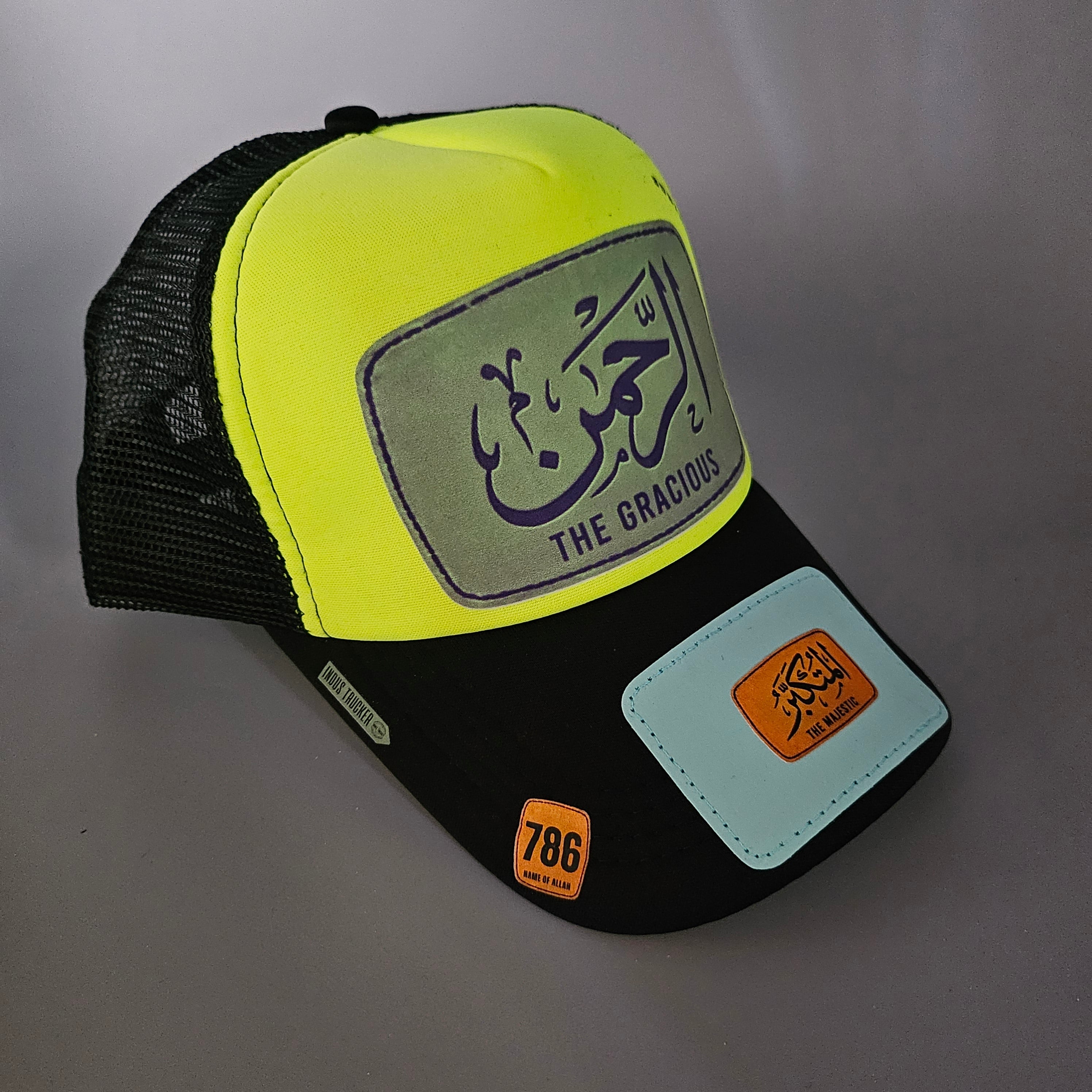 THE GRACIOUS ' INDUS TRUCKER