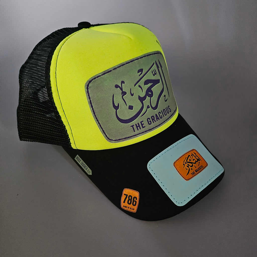THE GRACIOUS ' INDUS TRUCKER
