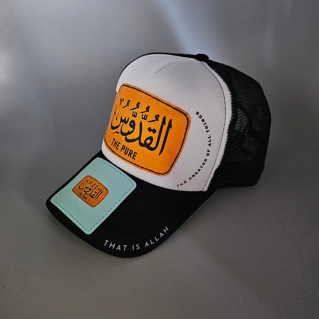 THE PURE  ' INDUS TRUCKER