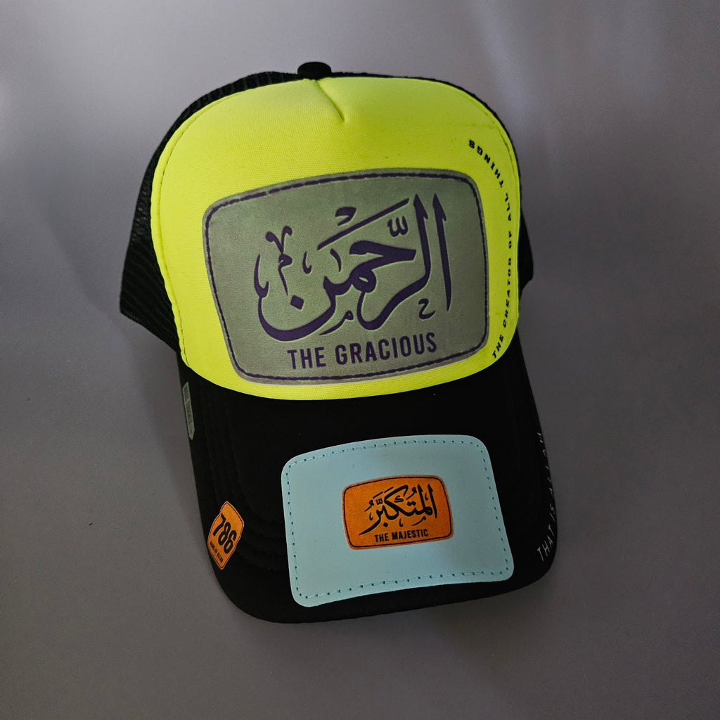 THE GRACIOUS ' INDUS TRUCKER